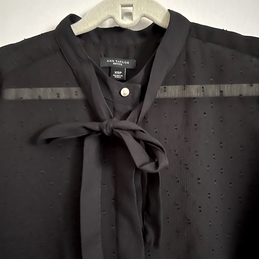 Ann Taylor sheer blouse